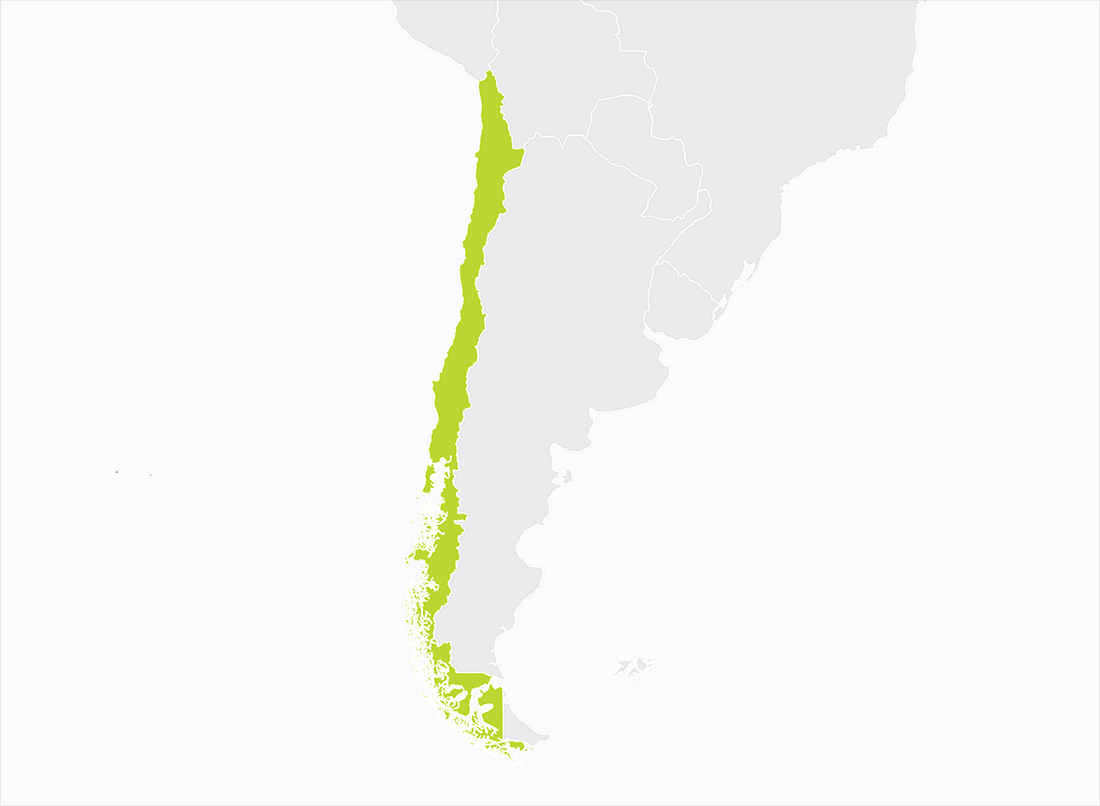 Şili Haritası